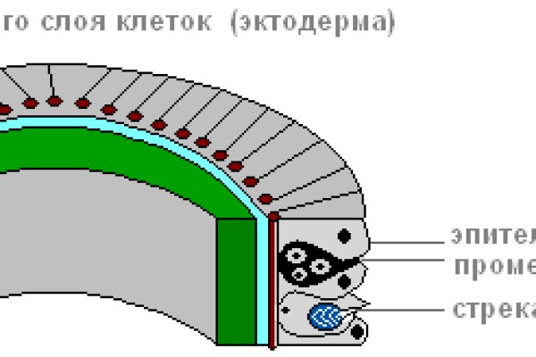 Как вывести с кракена